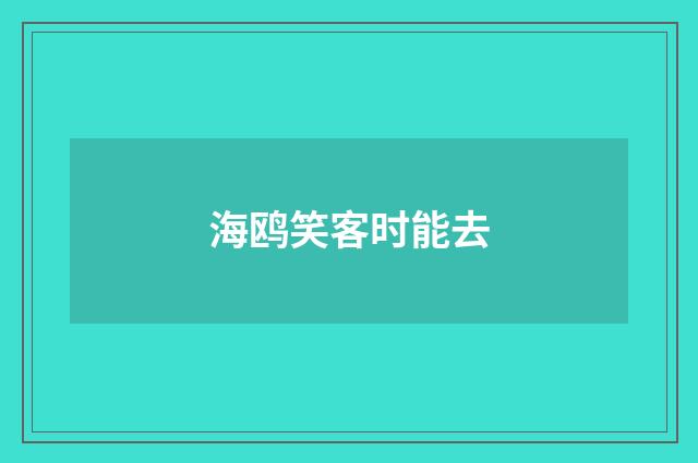 海鸥笑客时能去