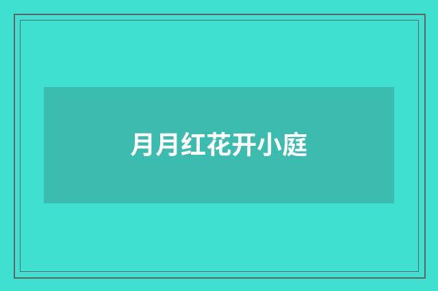 月月红花开小庭
