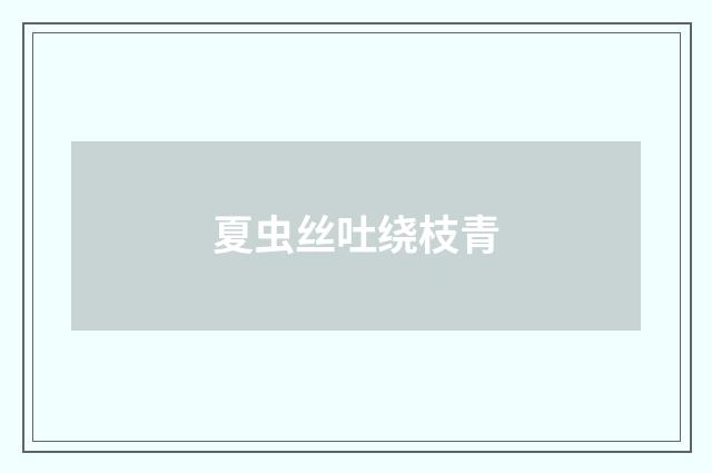 夏虫丝吐绕枝青
