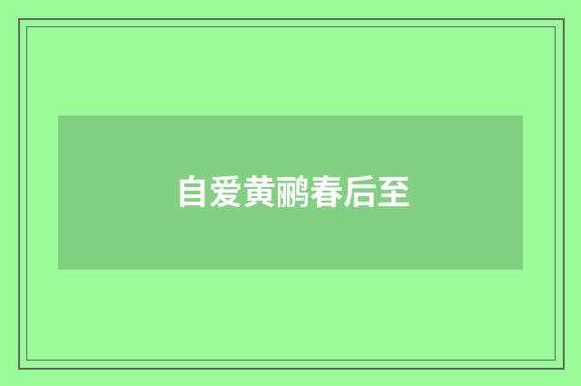自爱黄鹂春后至