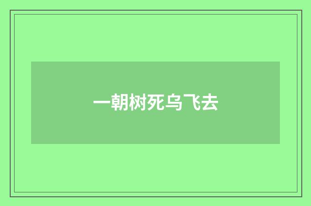 一朝树死乌飞去
