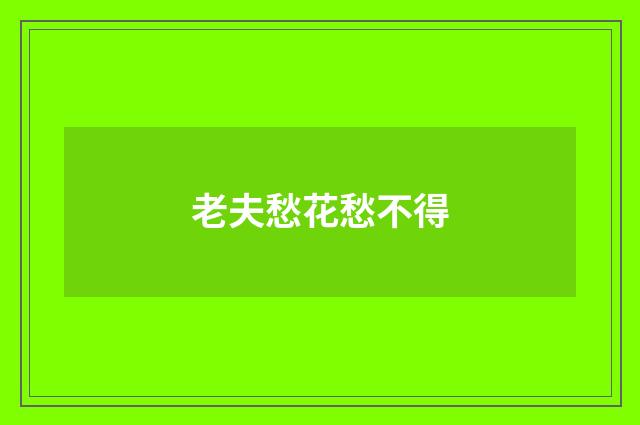 老夫愁花愁不得