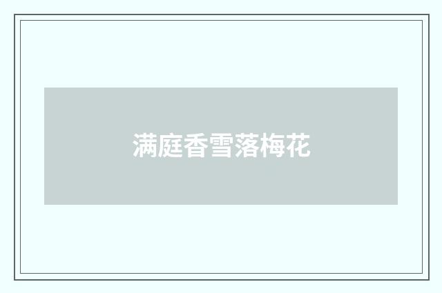 满庭香雪落梅花