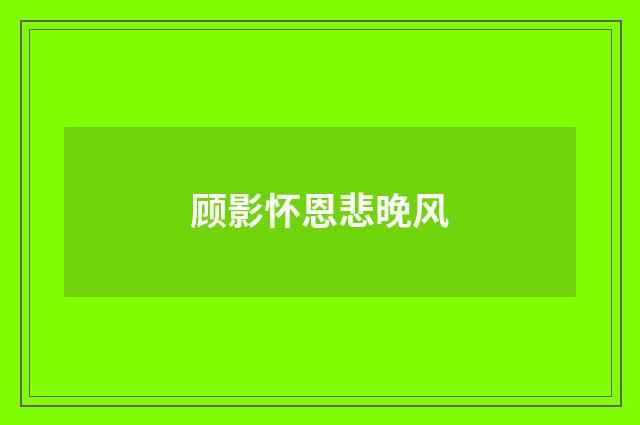 顾影怀恩悲晚风