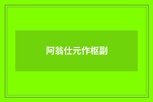 阿翁仕元作枢副
