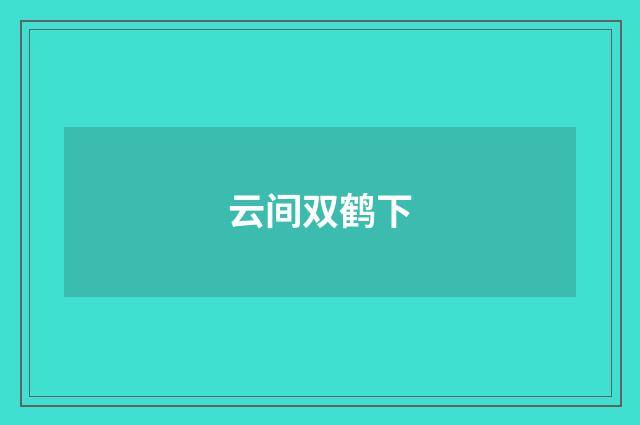 云间双鹤下