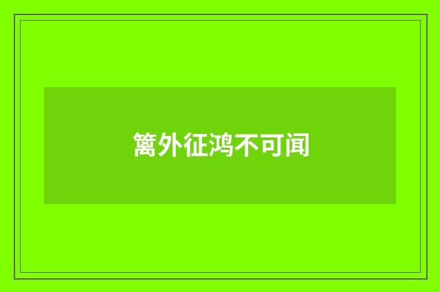 篱外征鸿不可闻