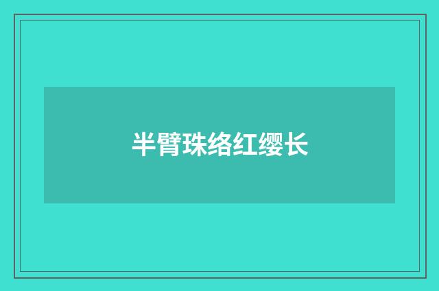 半臂珠络红缨长