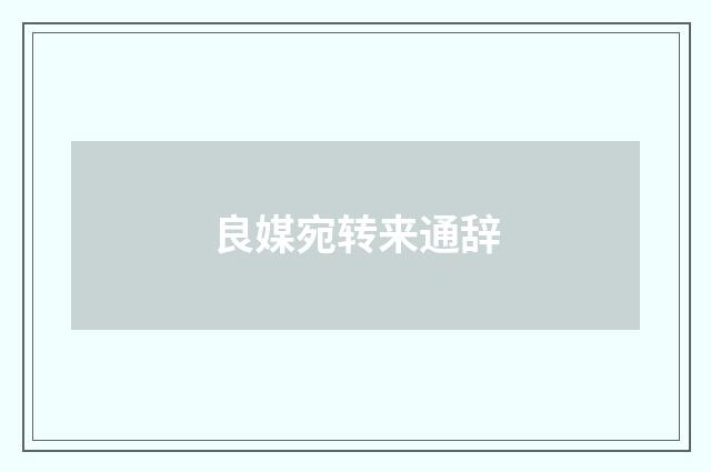 良媒宛转来通辞