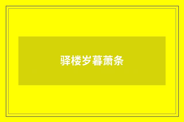 驿楼岁暮萧条
