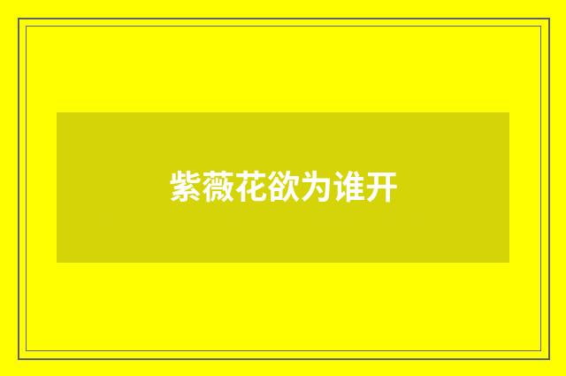 紫薇花欲为谁开