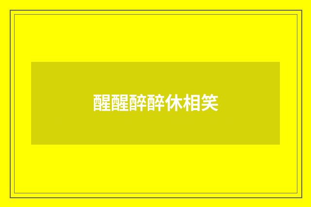 醒醒醉醉休相笑