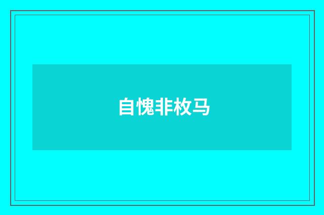 自愧非枚马