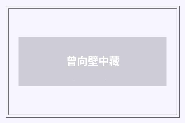 曾向壁中藏