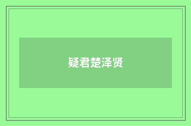 疑君楚泽贤