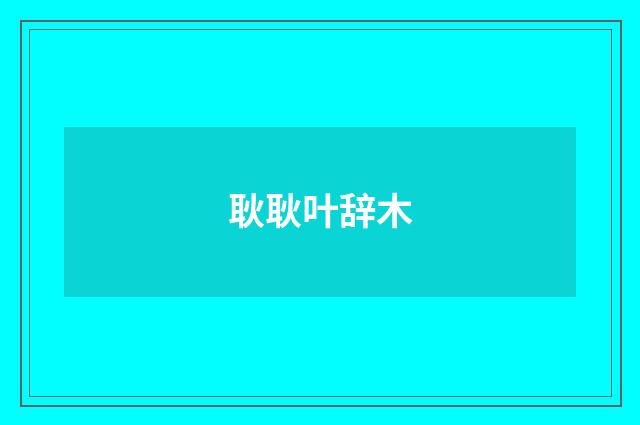 耿耿叶辞木