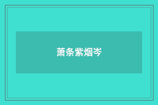 萧条紫烟岑