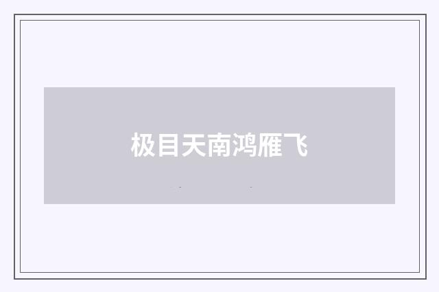极目天南鸿雁飞