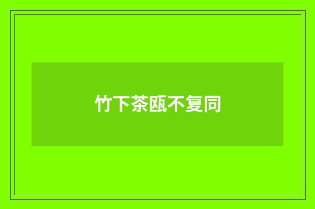 竹下茶瓯不复同