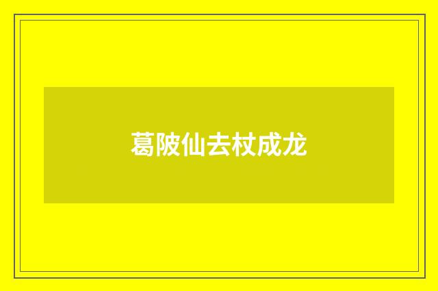 葛陂仙去杖成龙