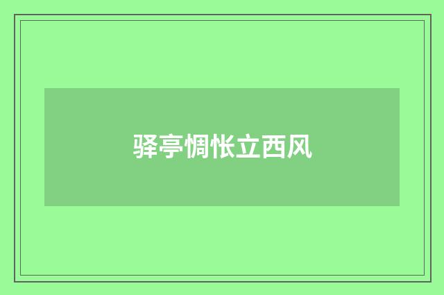 驿亭惆怅立西风