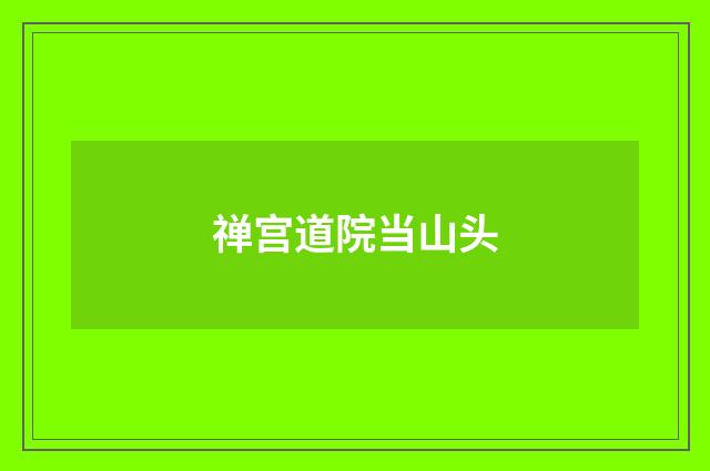 禅宫道院当山头