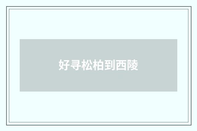 好寻松柏到西陵
