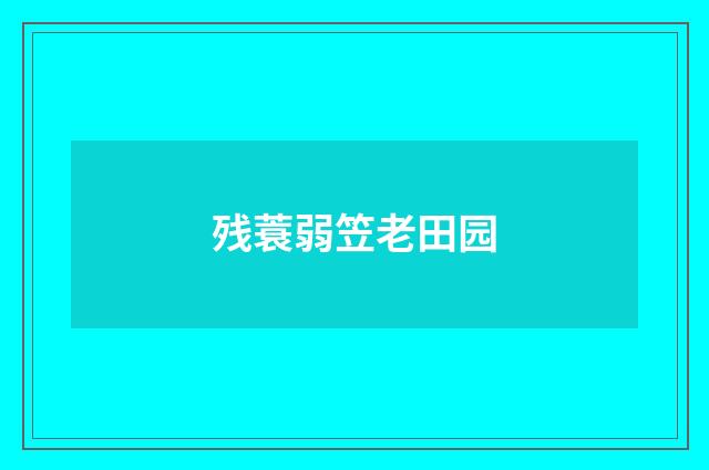 残蓑弱笠老田园