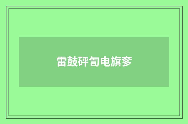 雷鼓砰訇电旗奓