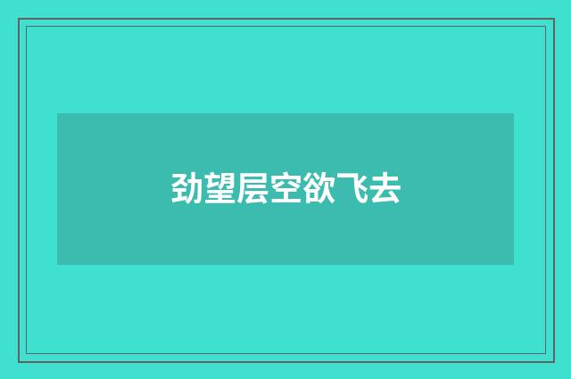 劲望层空欲飞去