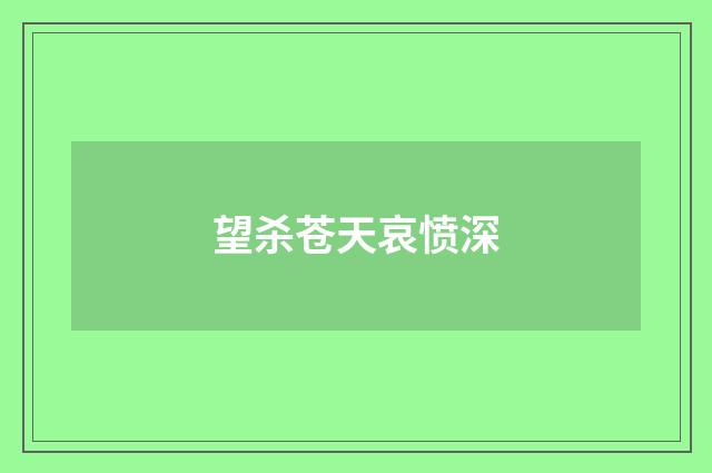 望杀苍天哀愤深