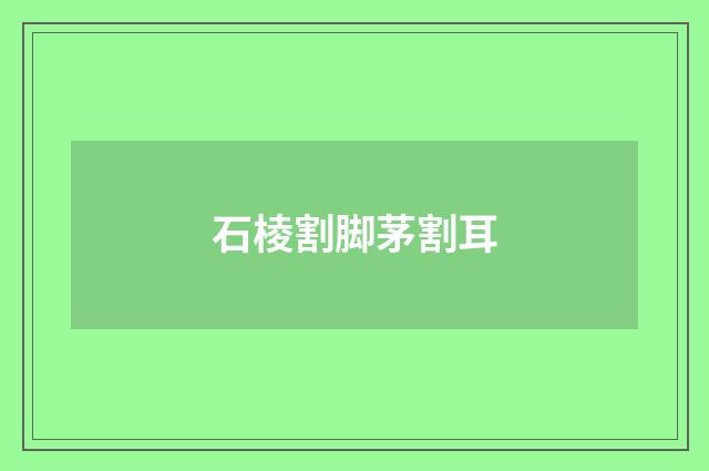 石棱割脚茅割耳