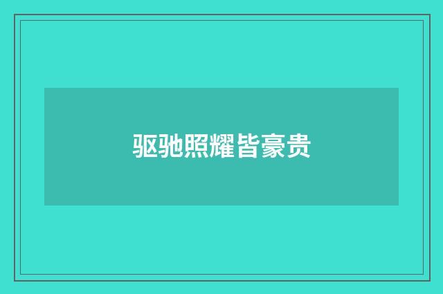 驱驰照耀皆豪贵