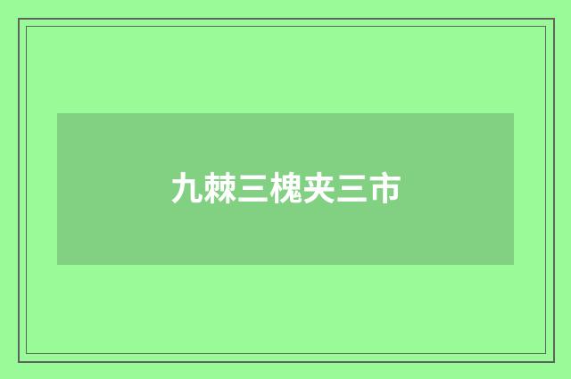 九棘三槐夹三市