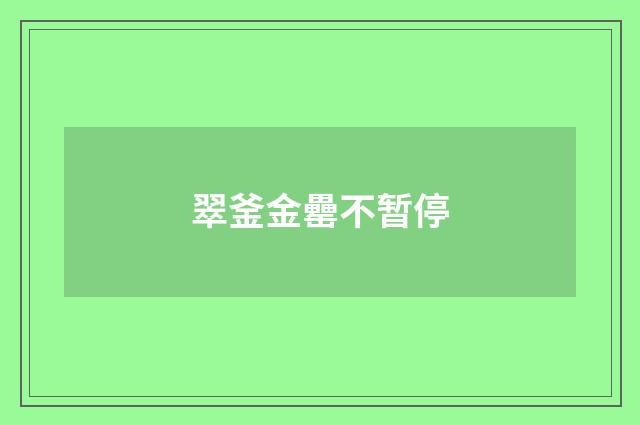 翠釜金罍不暂停