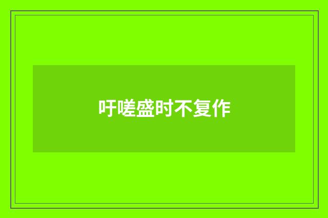 吁嗟盛时不复作