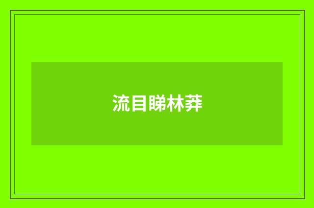 流目睇林莽