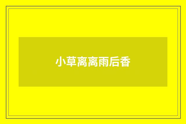 小草离离雨后香