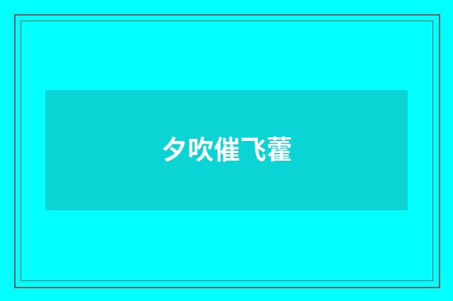 夕吹催飞藿