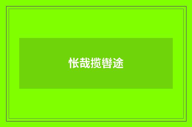 怅哉揽辔途