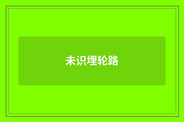 未识埋轮路