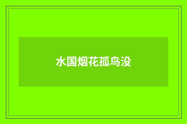 水国烟花孤鸟没