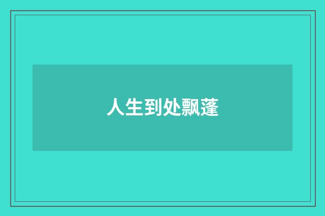 人生到处飘蓬