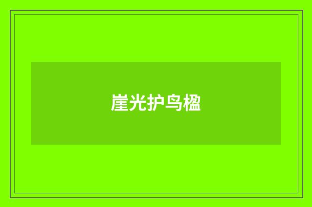 崖光护鸟楹