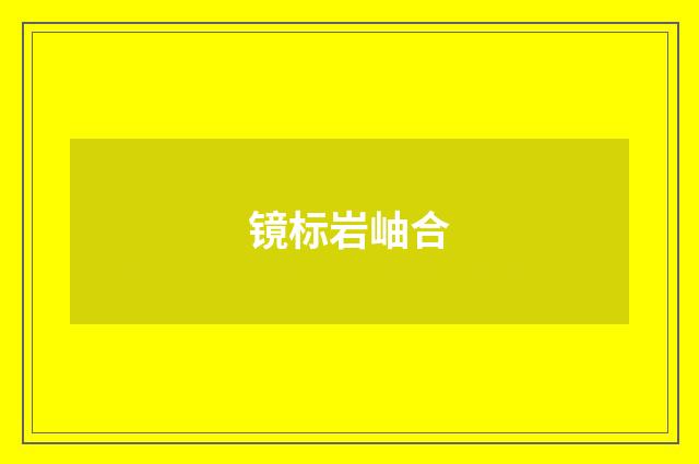 镜标岩岫合