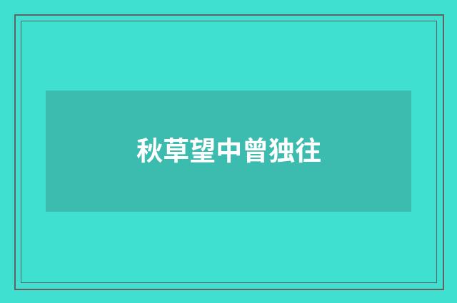 秋草望中曾独往
