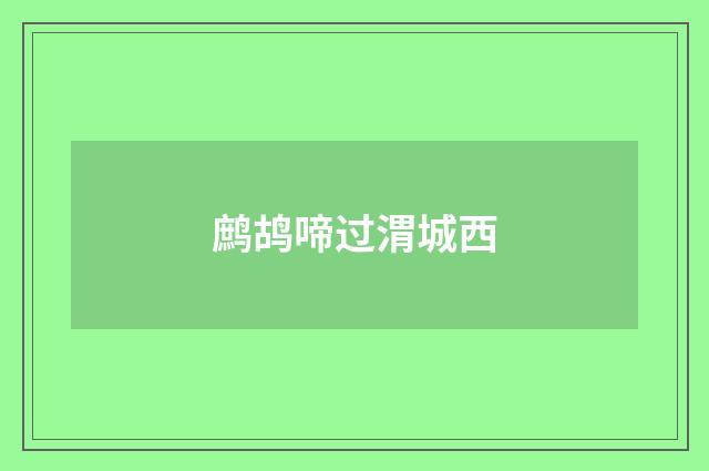 鹧鸪啼过渭城西