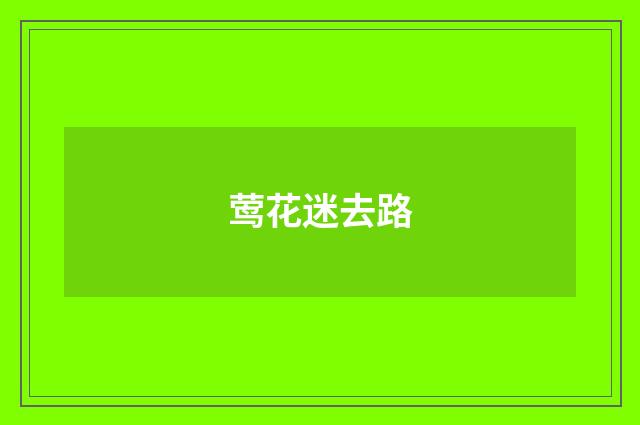 莺花迷去路