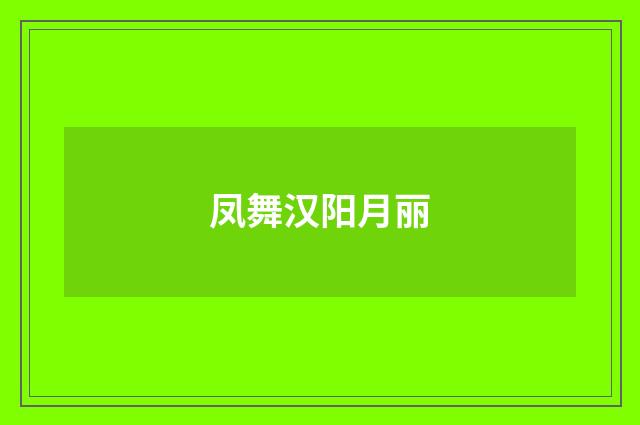 凤舞汉阳月丽
