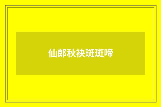 仙郎秋袂斑斑啼